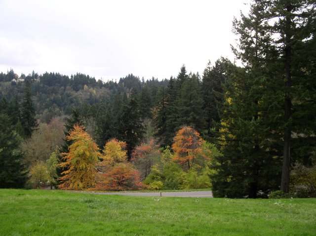 11.06.05 Wildwood Trail 018 